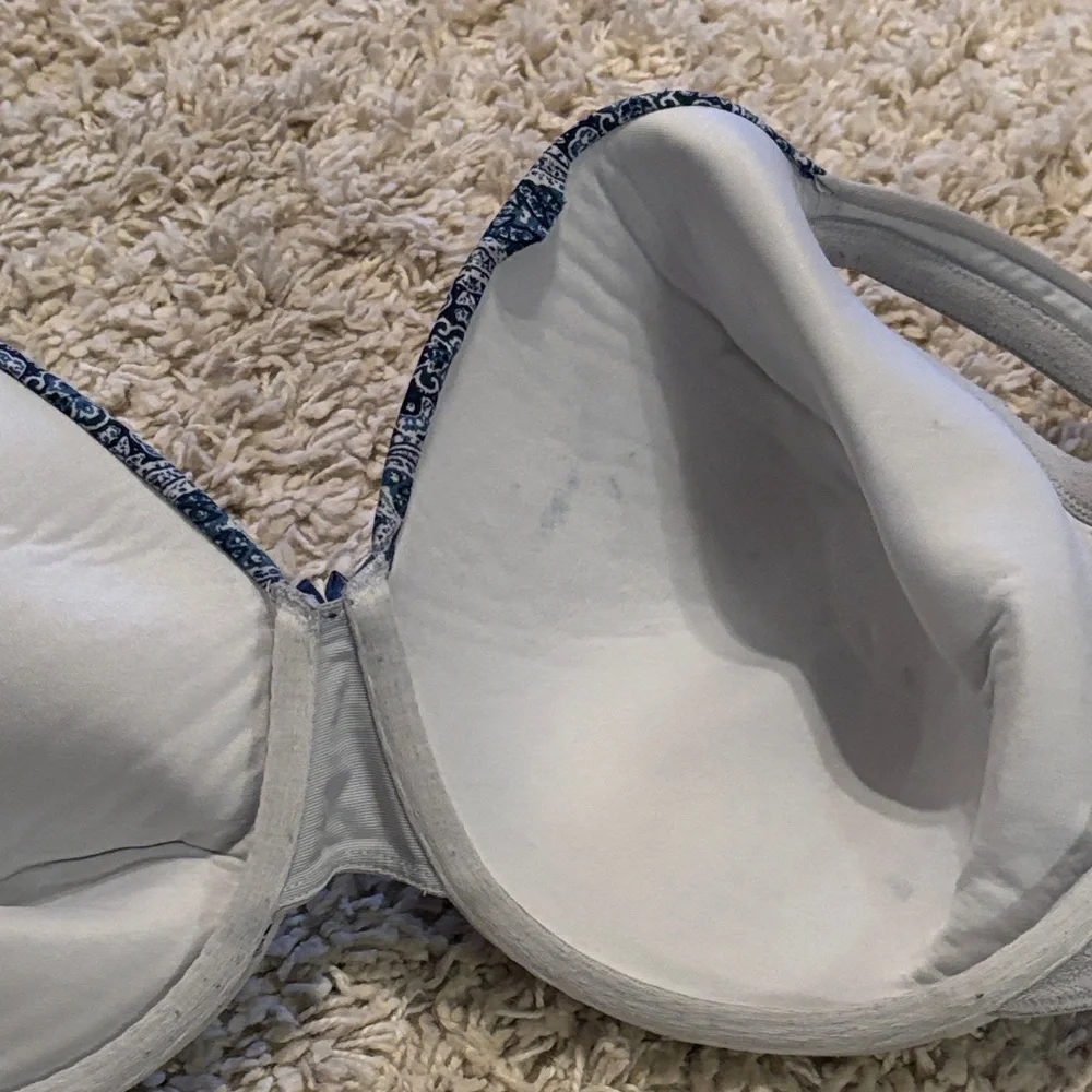 Cacique Blue and White Lace Accent Bra